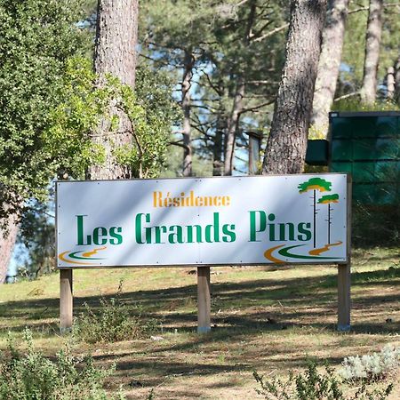 Apt Les Grands Pins, Entre Foret, Lac Et Ocean Carcans Zewnętrze zdjęcie