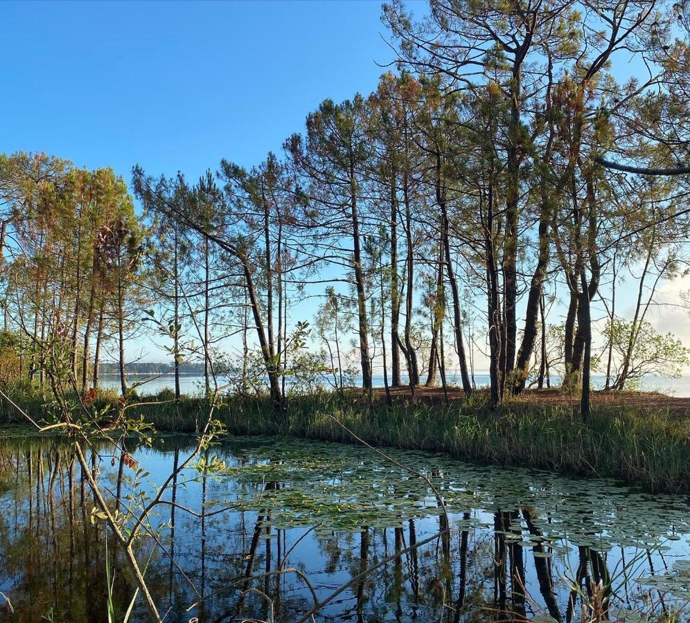 Apt Les Grands Pins, Entre Foret, Lac Et Ocean Carcans Zewnętrze zdjęcie
