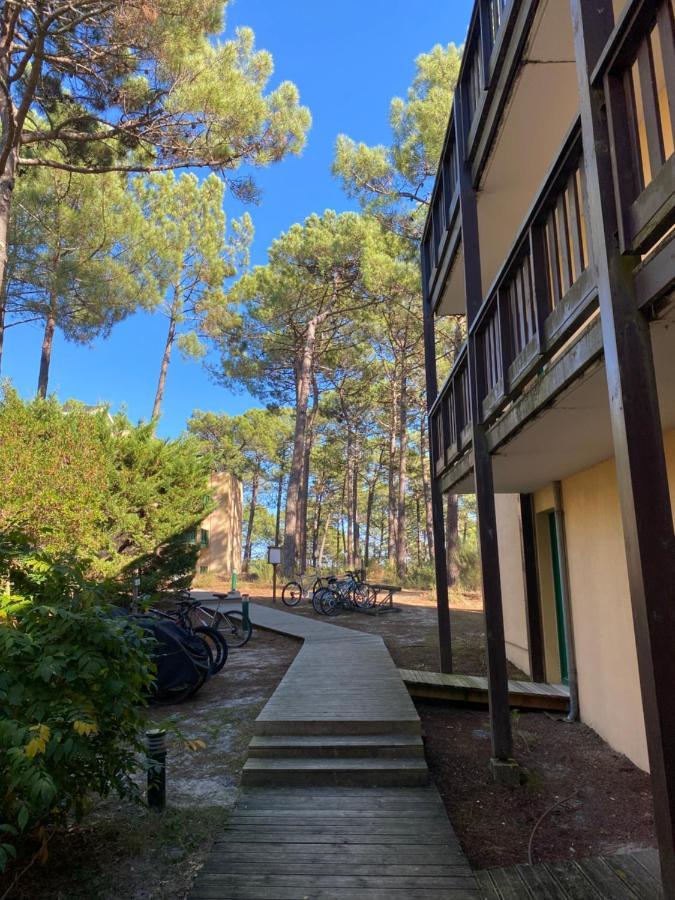 Apt Les Grands Pins, Entre Foret, Lac Et Ocean Carcans Zewnętrze zdjęcie
