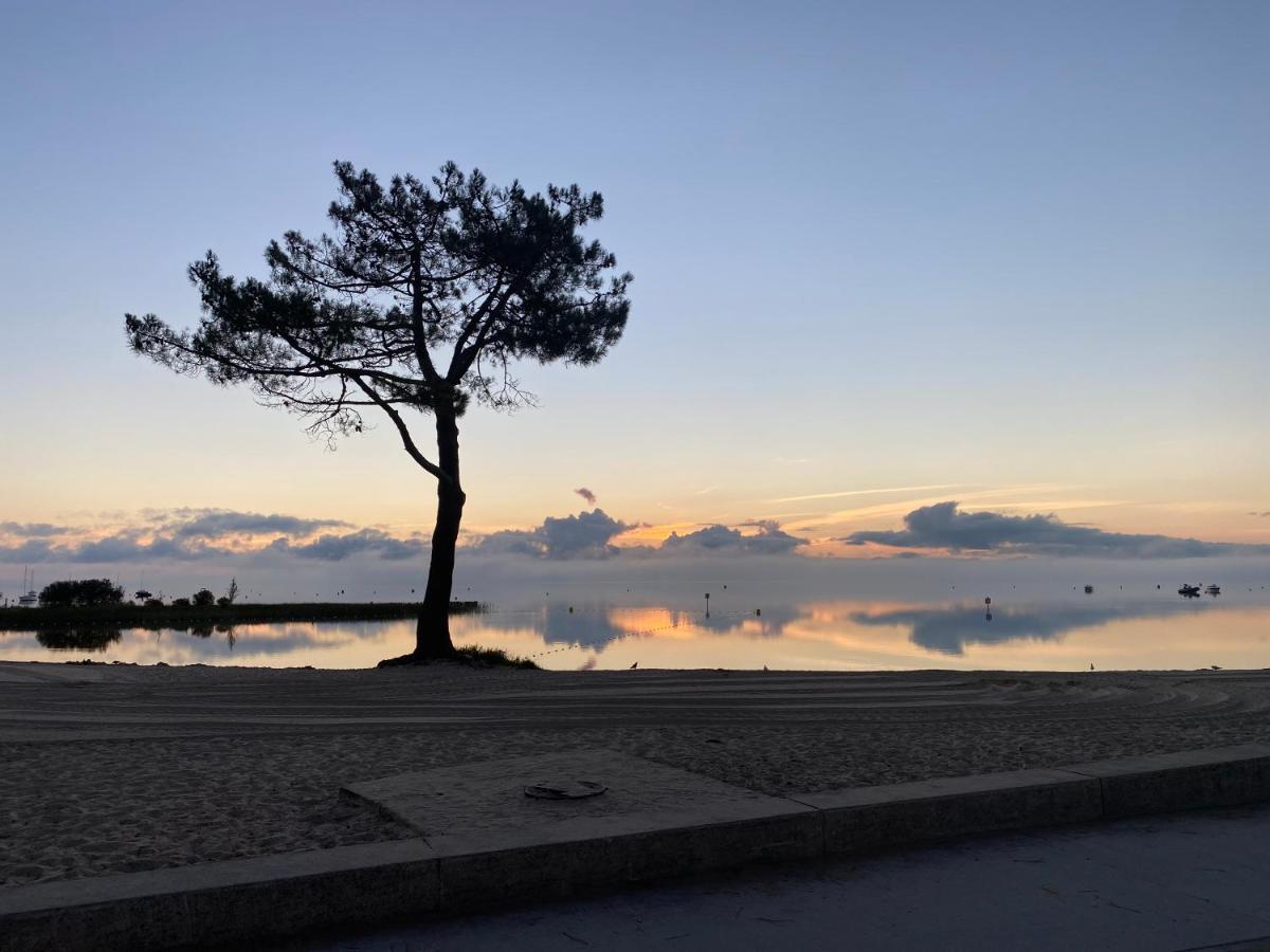 Apt Les Grands Pins, Entre Foret, Lac Et Ocean Carcans Zewnętrze zdjęcie