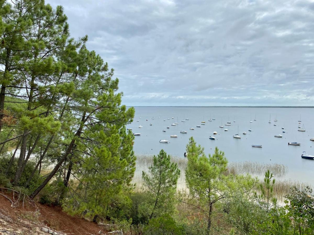 Apt Les Grands Pins, Entre Foret, Lac Et Ocean Carcans Zewnętrze zdjęcie