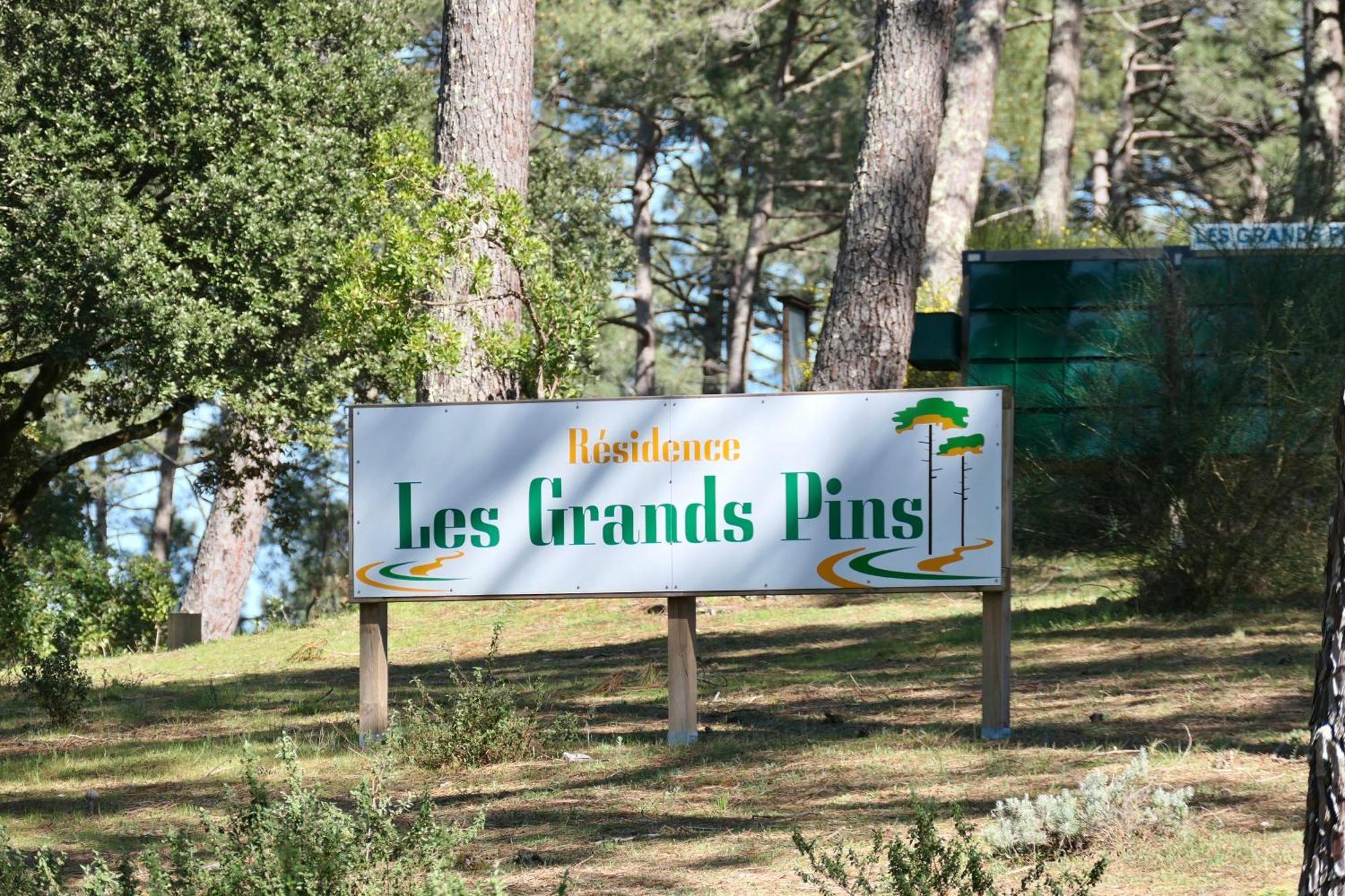Apt Les Grands Pins, Entre Foret, Lac Et Ocean Carcans Zewnętrze zdjęcie