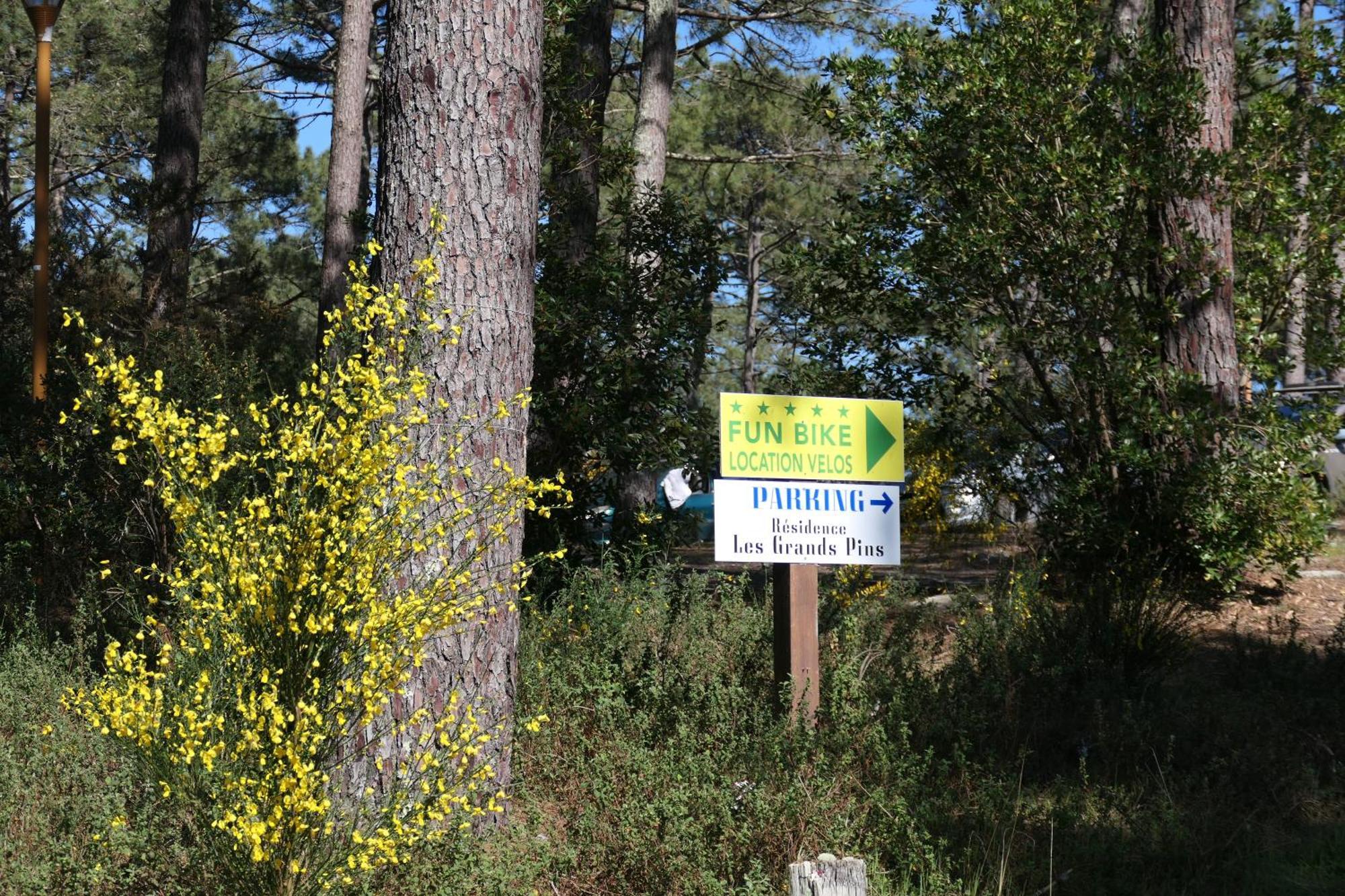 Apt Les Grands Pins, Entre Foret, Lac Et Ocean Carcans Zewnętrze zdjęcie
