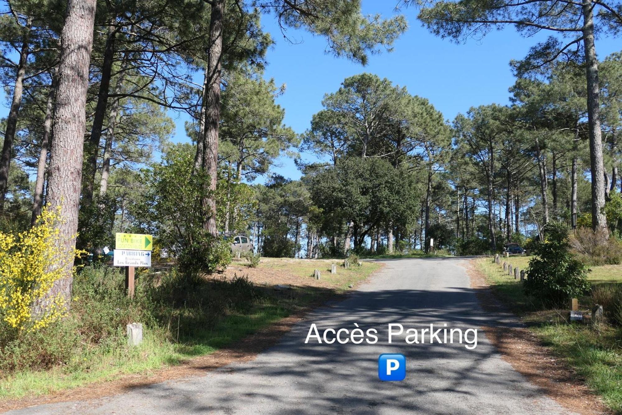 Apt Les Grands Pins, Entre Foret, Lac Et Ocean Carcans Zewnętrze zdjęcie